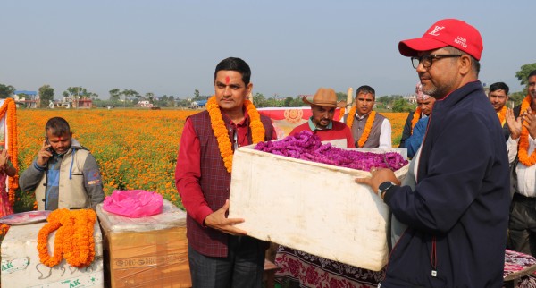 चितवनमा पहिलो पटक व्यवसायीक फूलखेती, ३० लाख बराबरको फूल हङकङ निर्यात